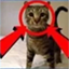 Server favicon of alfheim.pw