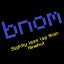 Server favicon of bnom.my.pebble.host