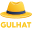 Server favicon of gulhat.dk