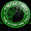 Server favicon of ftb.team-neo.com