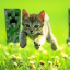 Server favicon of play.minecraftjunkie.com
