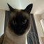 Server favicon of mzs.mcv.kr