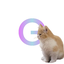 Server favicon of 158.69.8.141:25583