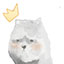 Server favicon of mc.noblox.net