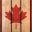 Server favicon of newnewcanada.net