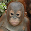 Server favicon of alfheim.pw