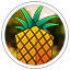 Server favicon of mc.fruitservers.net