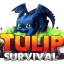 Server favicon of top.tulipsurvival.com