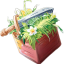 Server favicon of survivalfun.co
